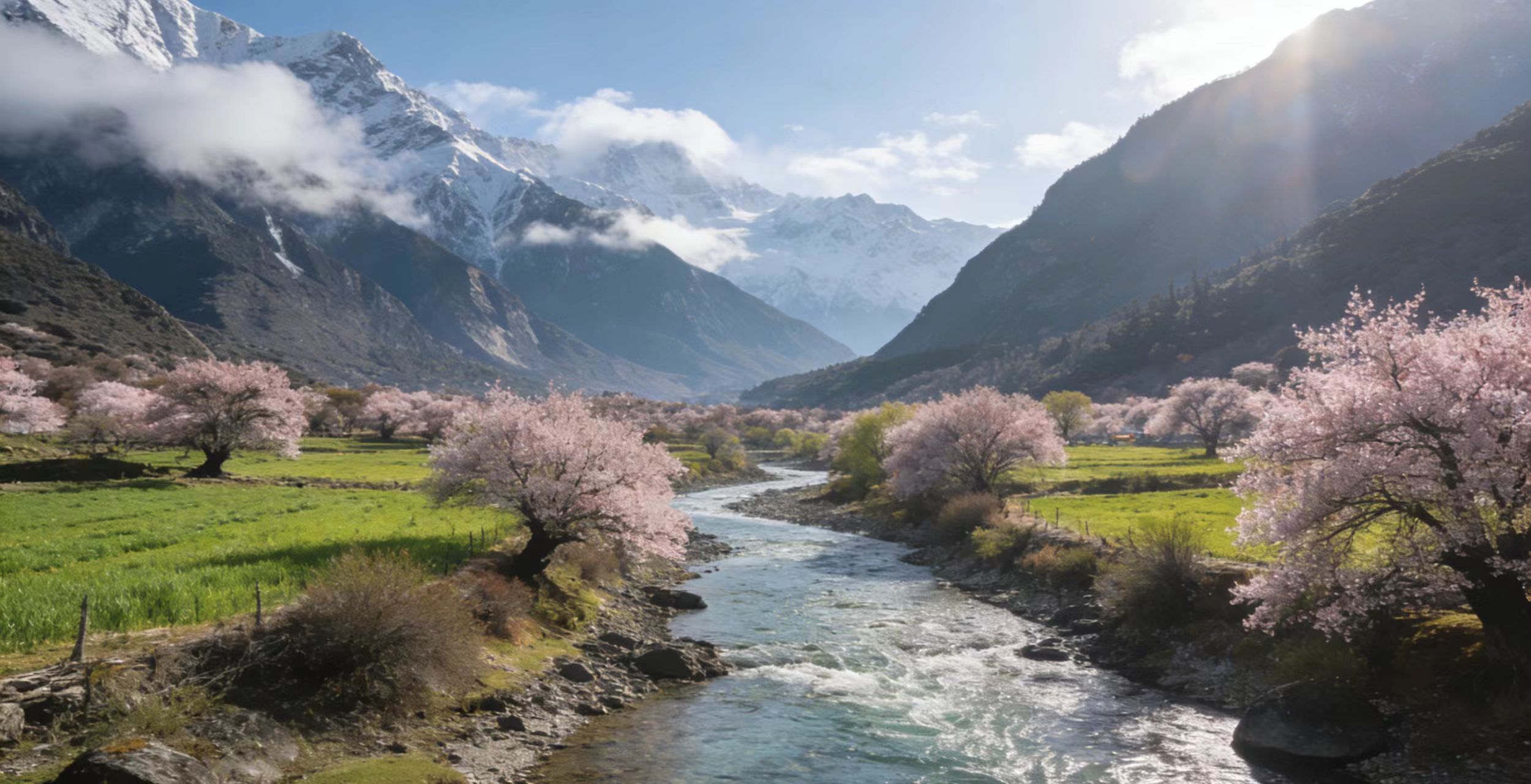 桃花节家庭游案例