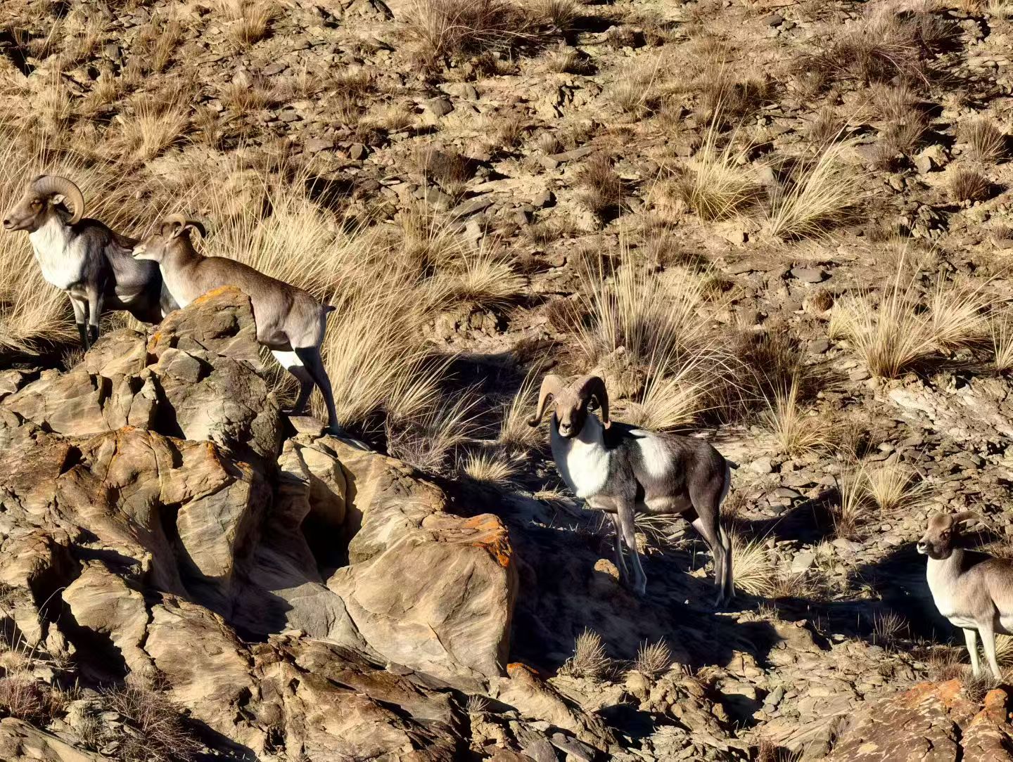 小众秘境探索案例